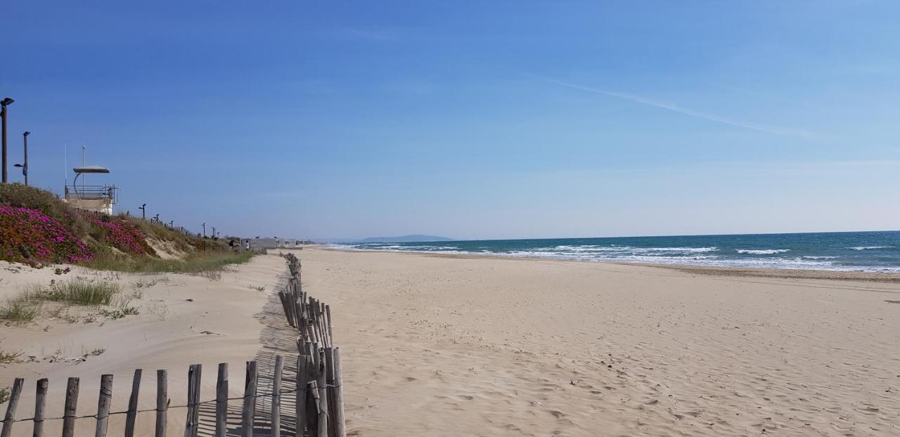 Studio Naturiste "Tropiques" Heliopolis Fg آجد المظهر الخارجي الصورة